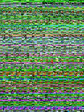 saramooon live sex cam