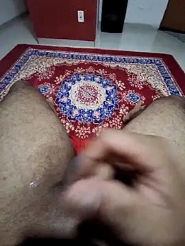 Santospica's cam snapshot