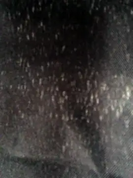 Thickwhitetight's cam snapshot