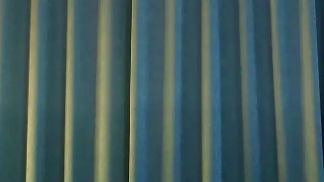 AngelicRice live sex cam