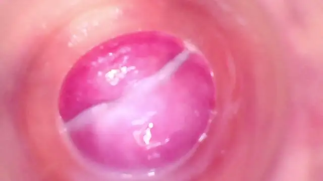 shannon_kinne_ live sex cam