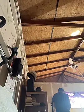 Shankortiz's cam snapshot