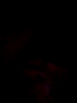 jacka_305's cam snapshot