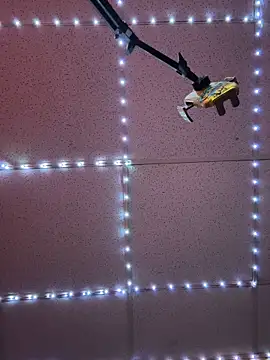 GenitalWars's cam snapshot