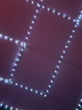 GenitalWars's cam snapshot