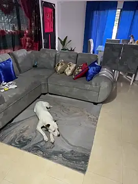 AranzalatinBlaks1 live sex cam