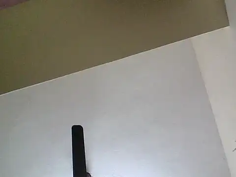 sree4143 live sex cam