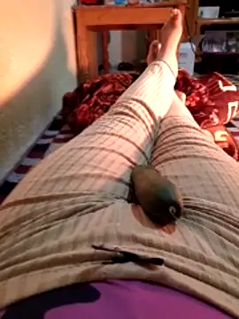 Tota_sexi's cam snapshot