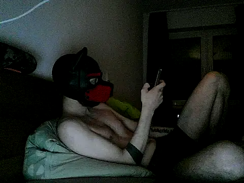 MolleDolle live sex cam