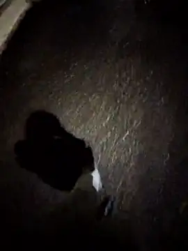 dominationmybigdick's cam snapshot