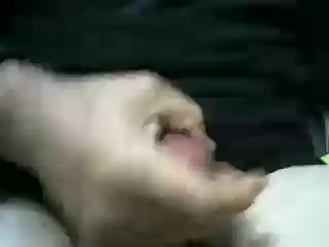 vuran691's cam snapshot