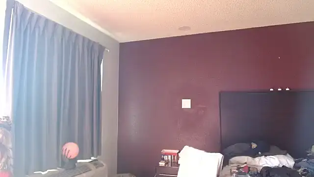 ibPMS's cam snapshot