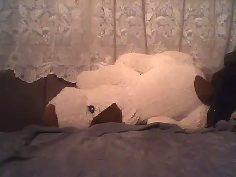 Pneuhammer's cam snapshot