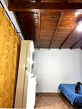 Zaratattoox live sex cam