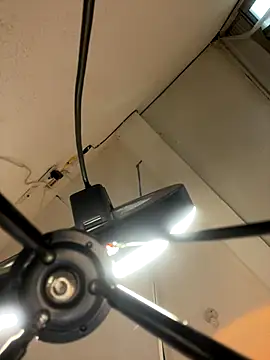 sarita_bibies19's cam snapshot