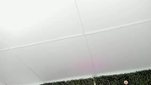 valentina_0_'s cam snapshot