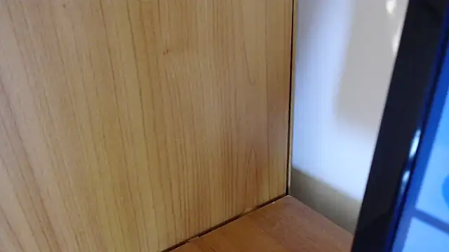 Pamela-StripX's cam snapshot