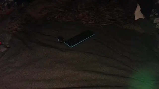 lekkeregast's cam snapshot