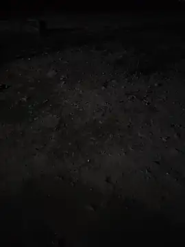 taylor1991V live sex cam