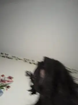 Melanin_babygal live sex cam