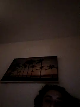 Woodern's cam snapshot