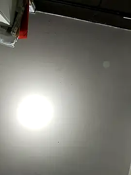 Lale-Adrian's web cam