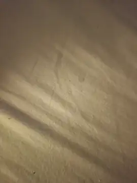 Poeperke00's web cam