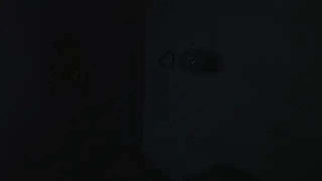 onixandghosty1 live sex cam