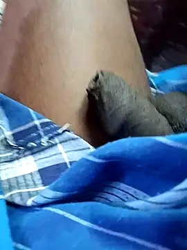 dolphiinn's cam snapshot