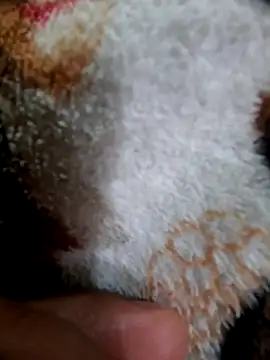 hotdickforbhabhi's cam snapshot