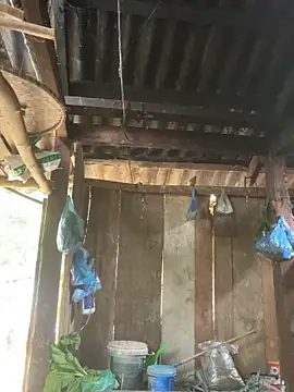 Dilen_7533 live sex cam