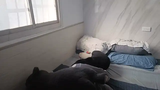 Big19Asia's cam snapshot