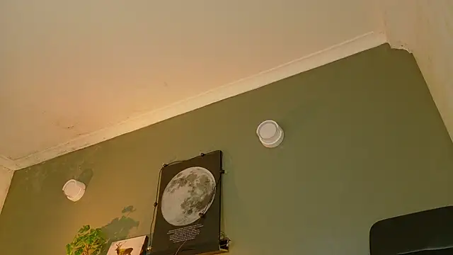 MrFox__ live sex cam