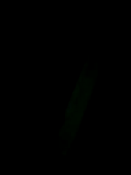 Marleymols's cam snapshot