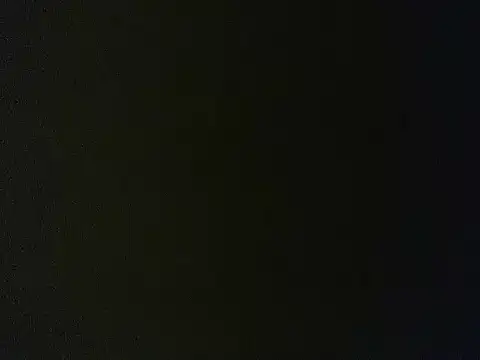 Sanwaldec's cam snapshot