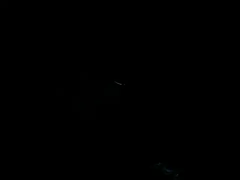 manilafoxts live sex cam