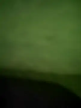 DanteWinter's cam snapshot