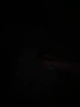 Sammyboy2211's cam snapshot