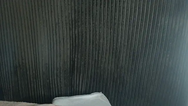 1BECHA1 live sex cam