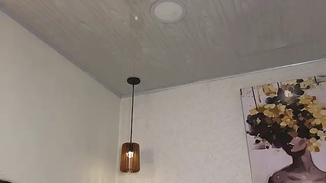 antonellariva_'s cam snapshot