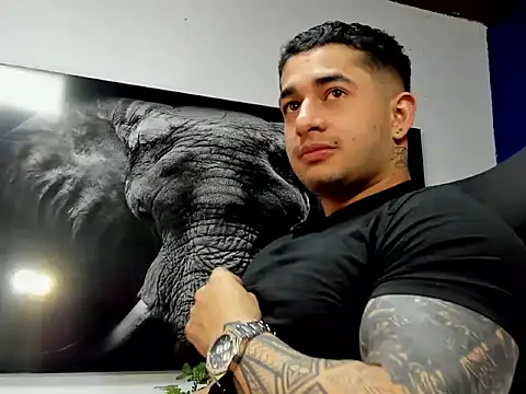 king_falconer's cam snapshot