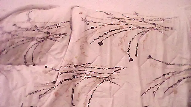 fulan0969's cam snapshot