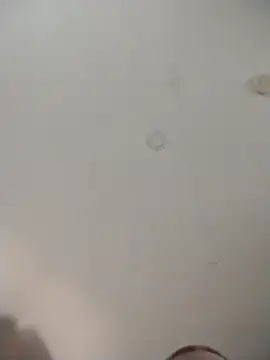 Alleinzuhause's cam snapshot