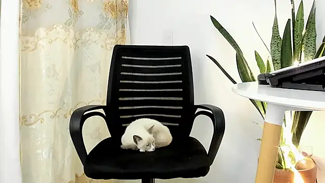 JuanDiegoKing live sex cam