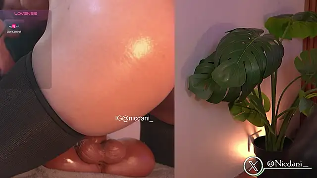 nicdani_1 live sex cam