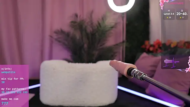 webpetite's cam snapshot