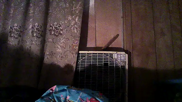 luke_thighwalker2469 live sex cam