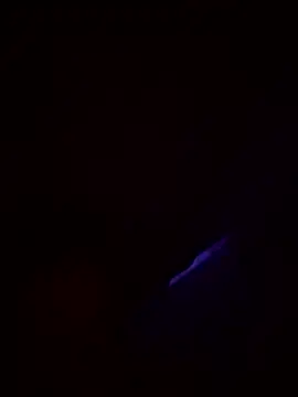 Andy-rtg live sex cam