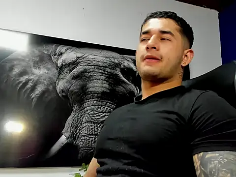 king_falconer's cam snapshot