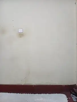 BelindaLexy live sex cam